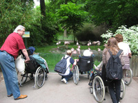 Im Zoo